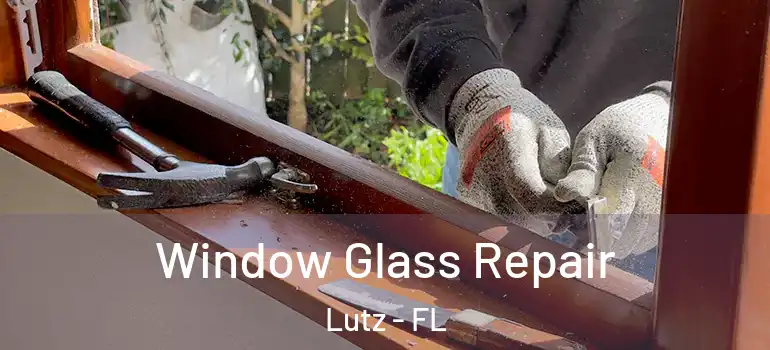  Window Glass Repair Lutz - FL