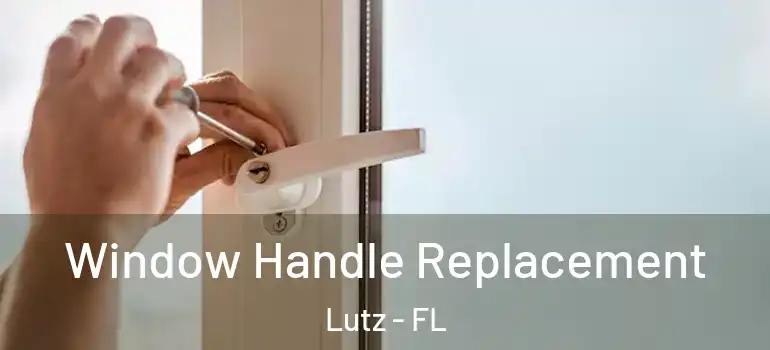  Window Handle Replacement Lutz - FL