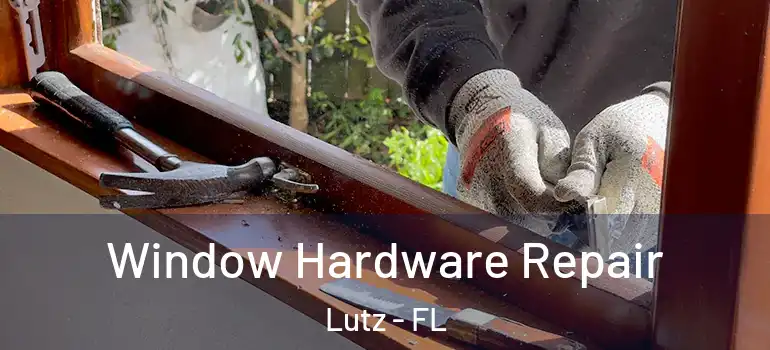  Window Hardware Repair Lutz - FL