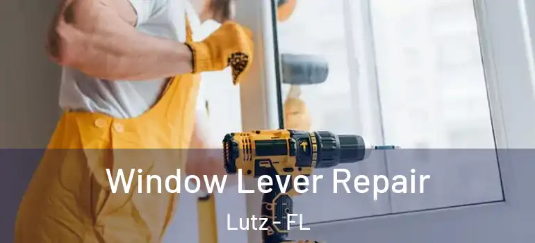  Window Lever Repair Lutz - FL