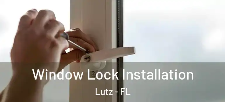  Window Lock Installation Lutz - FL
