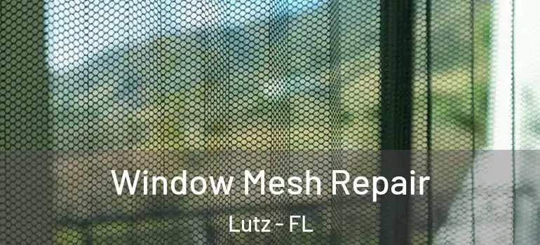  Window Mesh Repair Lutz - FL