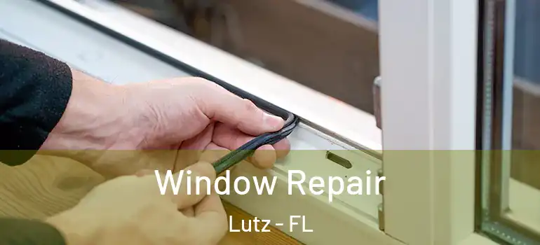  Window Repair Lutz - FL