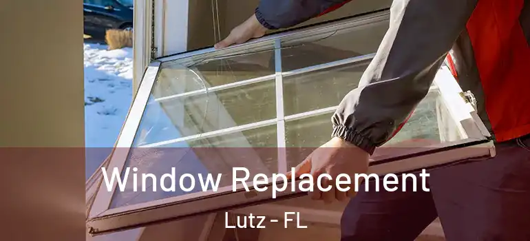  Window Replacement Lutz - FL