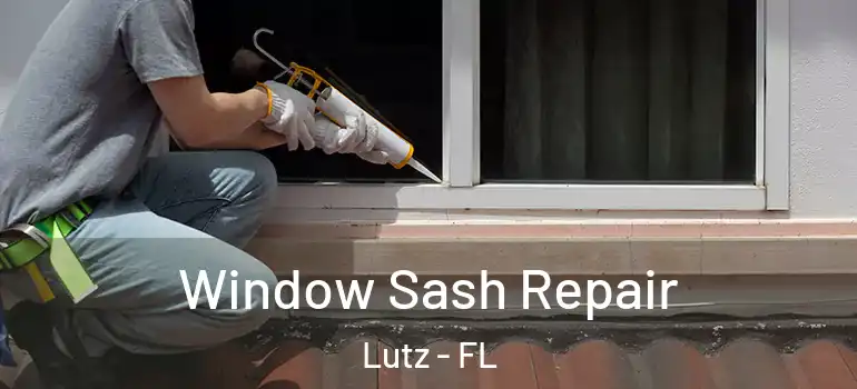  Window Sash Repair Lutz - FL
