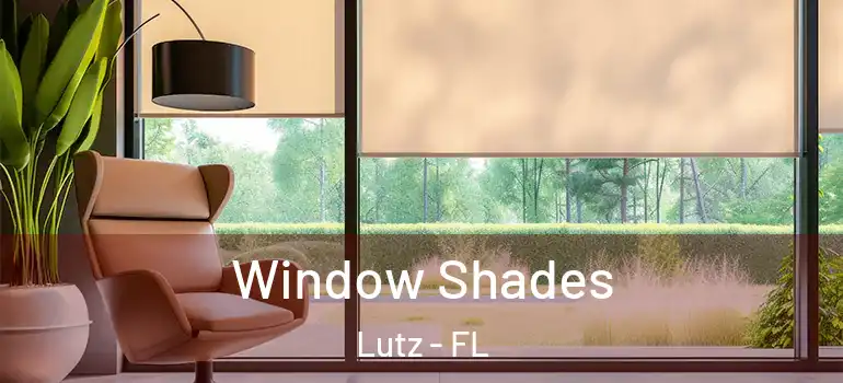  Window Shades Lutz - FL
