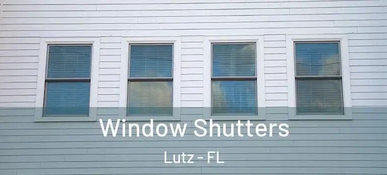  Window Shutters Lutz - FL