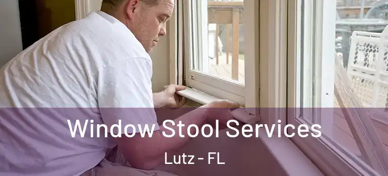  Window Stool Services Lutz - FL