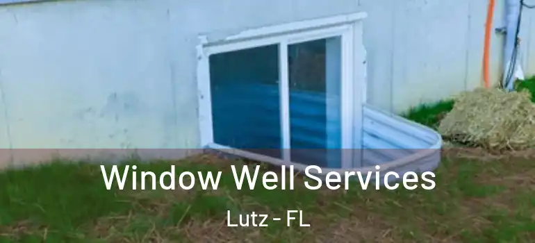  Window Well Services Lutz - FL